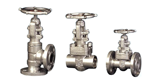 FORGED GLOBE VALVE